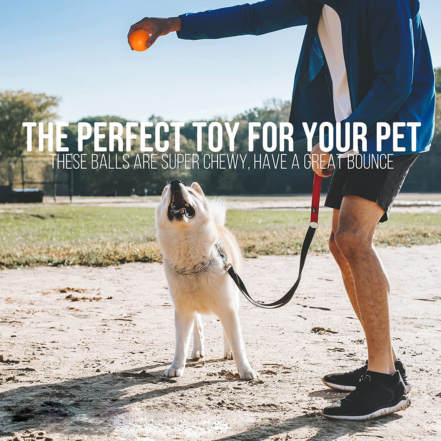 Qesonoo KAIKER bouncy training ball enhances agility and exercise.