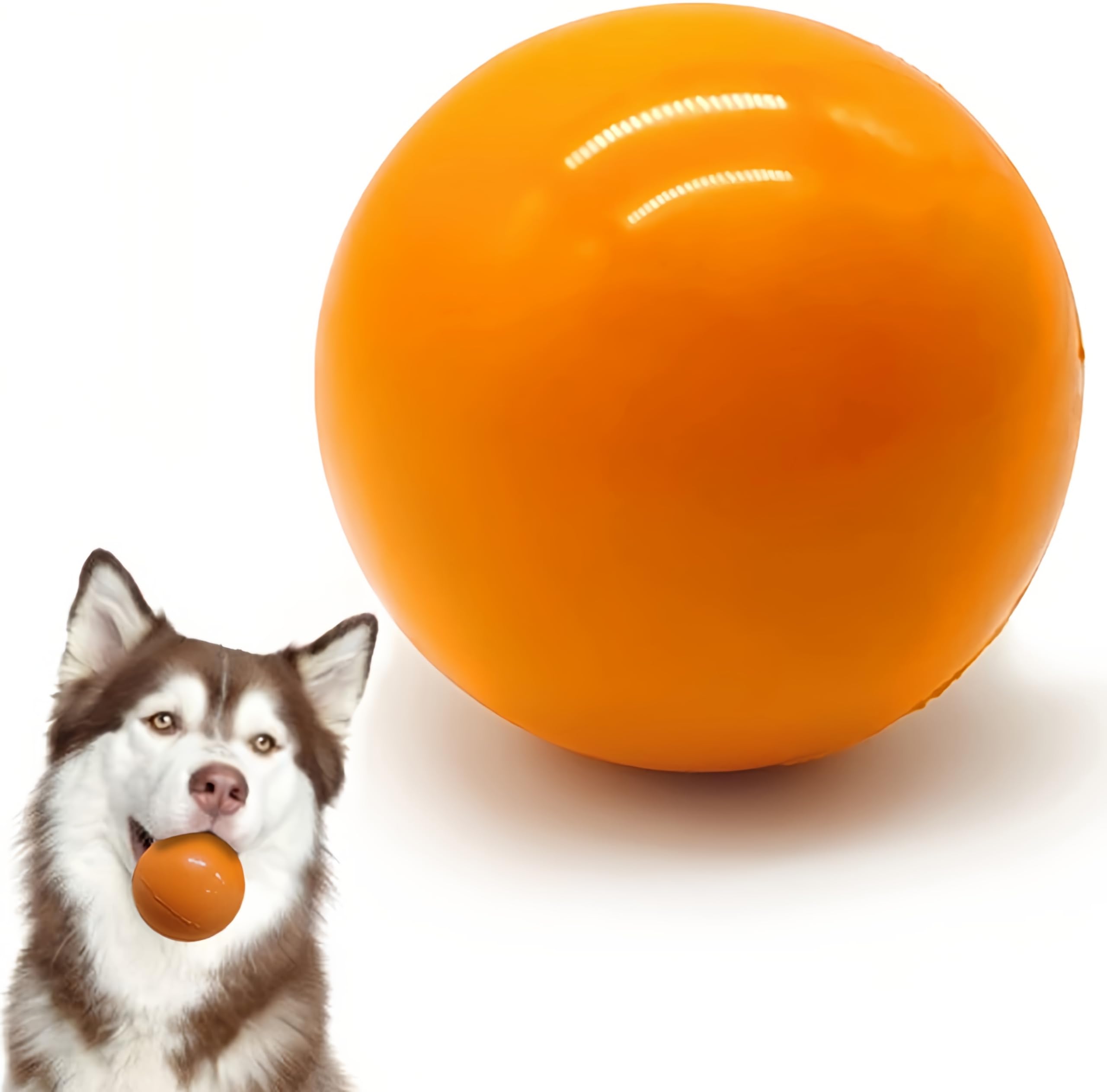Qesonoo KAIKER floating dog ball ideal for water play.