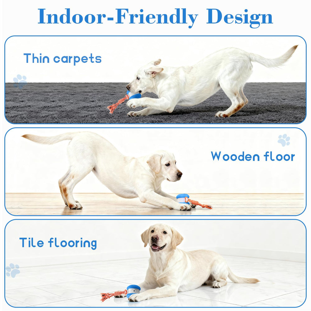 QGI Interactive Dog Ball is ideal for indoor play on multiple floor types.