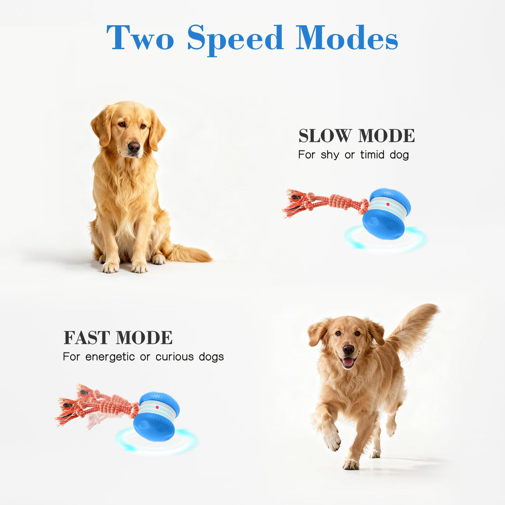 QGI Interactive Dog Ball uses a motion sensor to start play on contact.