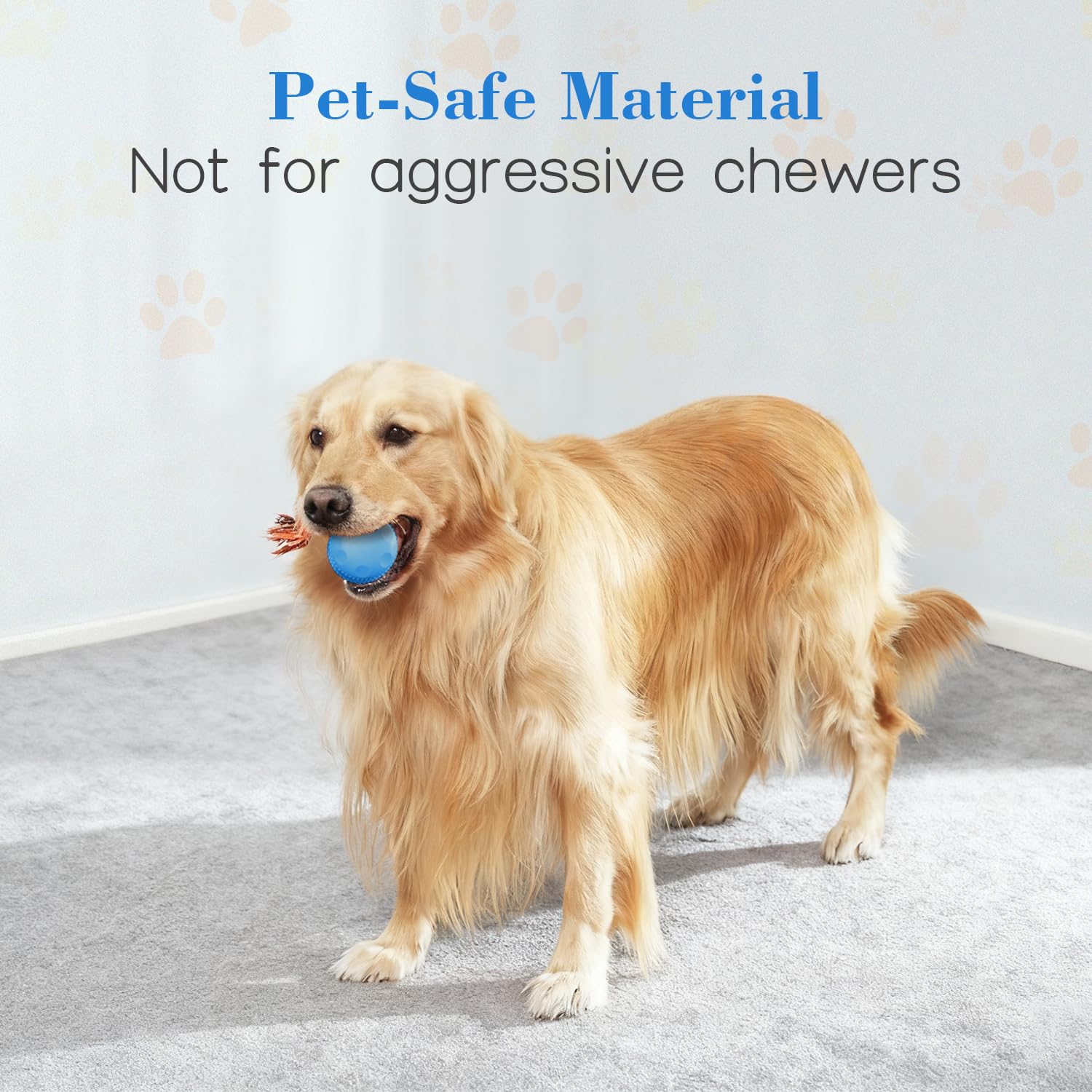 QGI Interactive Dog Ball offers fast and slow modes for varied energy levels.