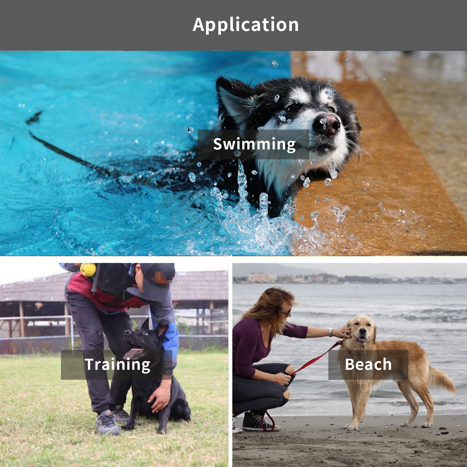 Qiaosite outdoor training leash use, ideal for beach, yard, and trails.