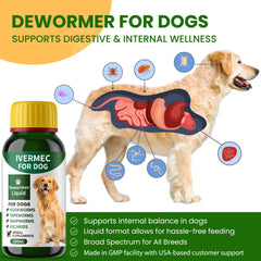 QIFEISHANKA broad-spectrum wormer for dogs supports parasite management