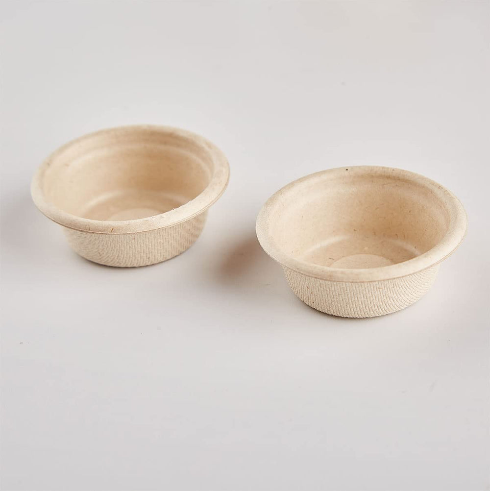 QIHYCUF small reptile feeding dish setup reduces mess and waste.