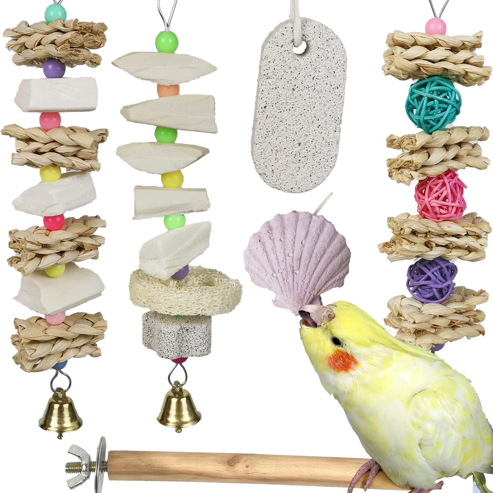 Qimilenzy parrot chews cuttlebone hanging toy for safe enrichment and beak care