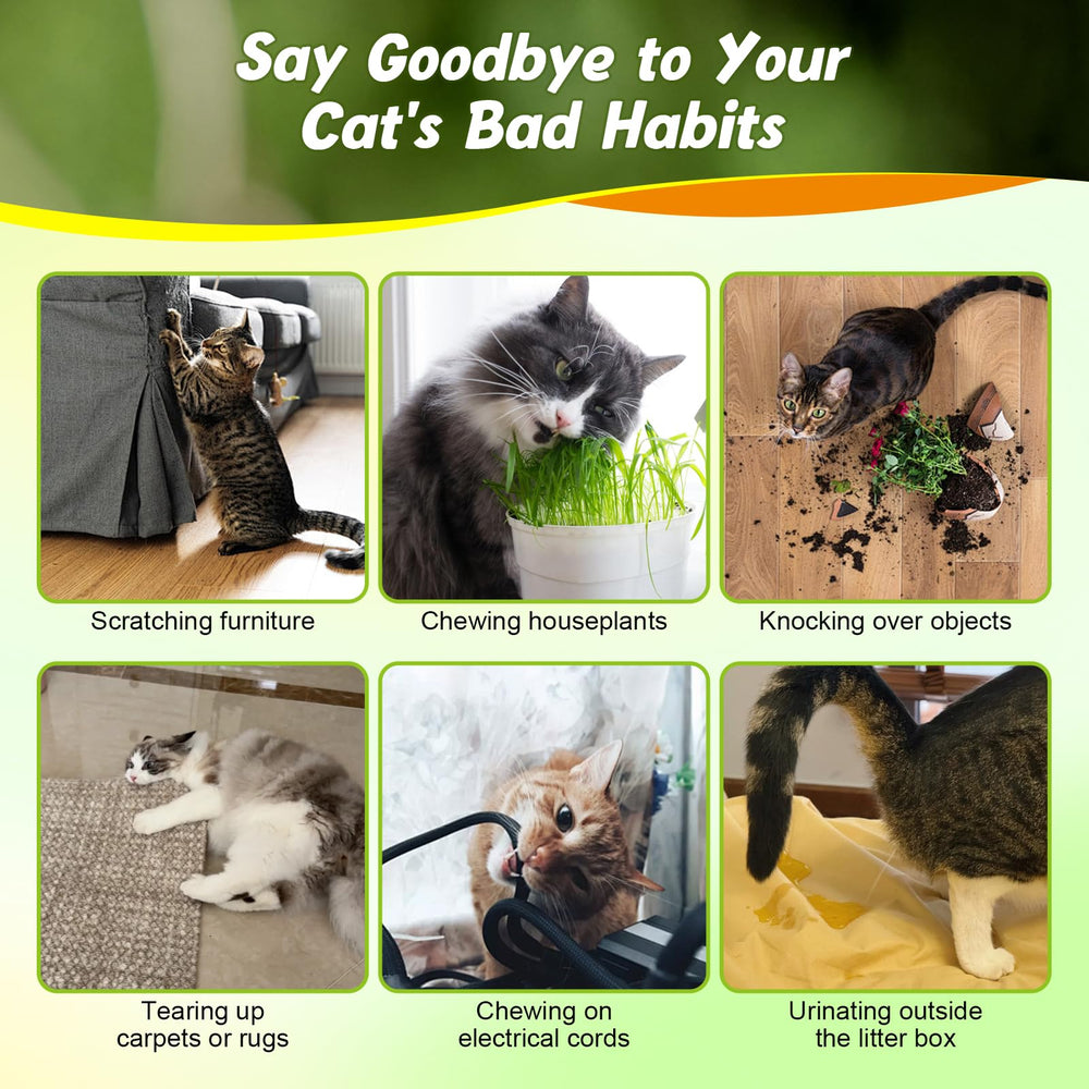 QINGQIYUE cat deterrent spray on curtains discourages climbing