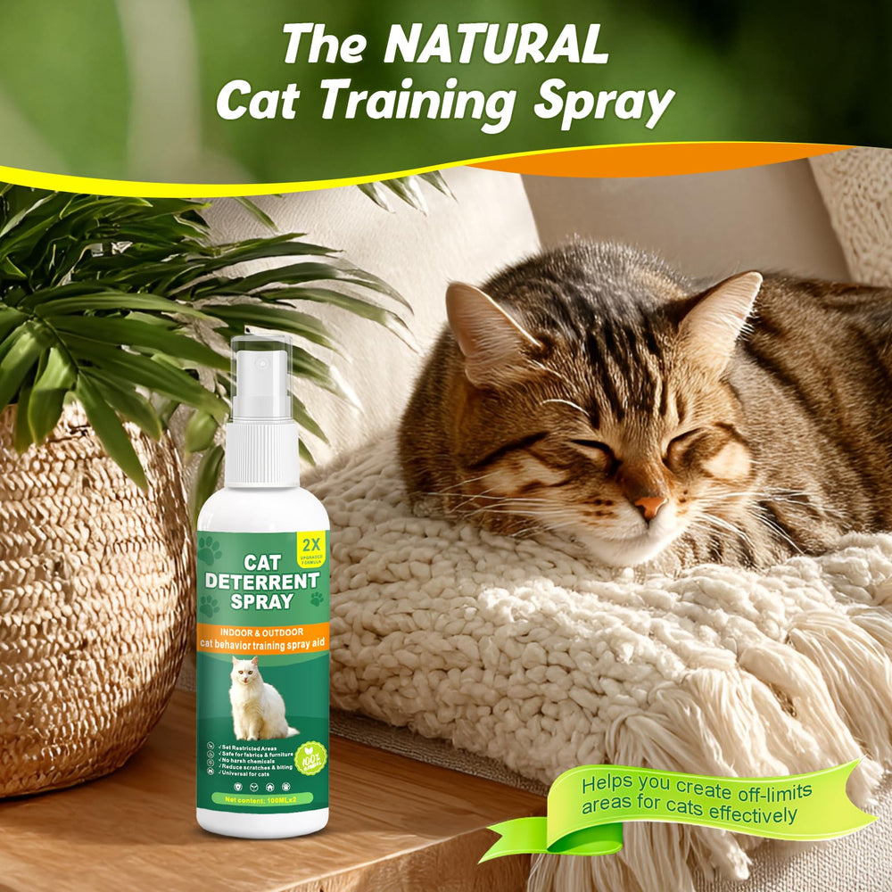 QINGQIYUE cat deterrent spray outdoor-surface demo demonstrates multi-surface use