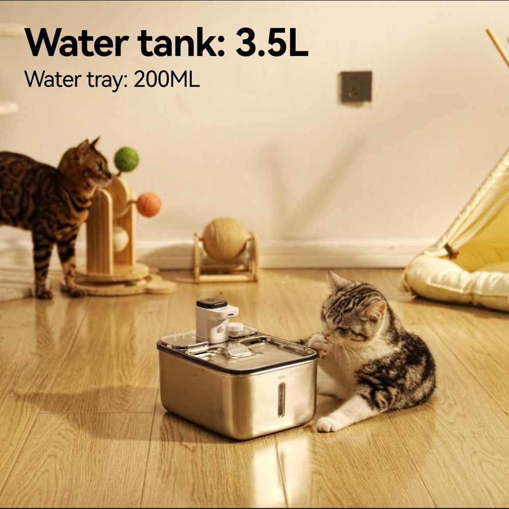 Qinliy dishwasher-safe 304 stainless steel construction simplifies cleaning.