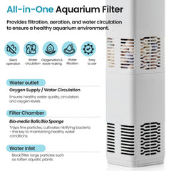 QiQiWader dual filtration system interior shows bio-sponge and bio-media balls for clear water.