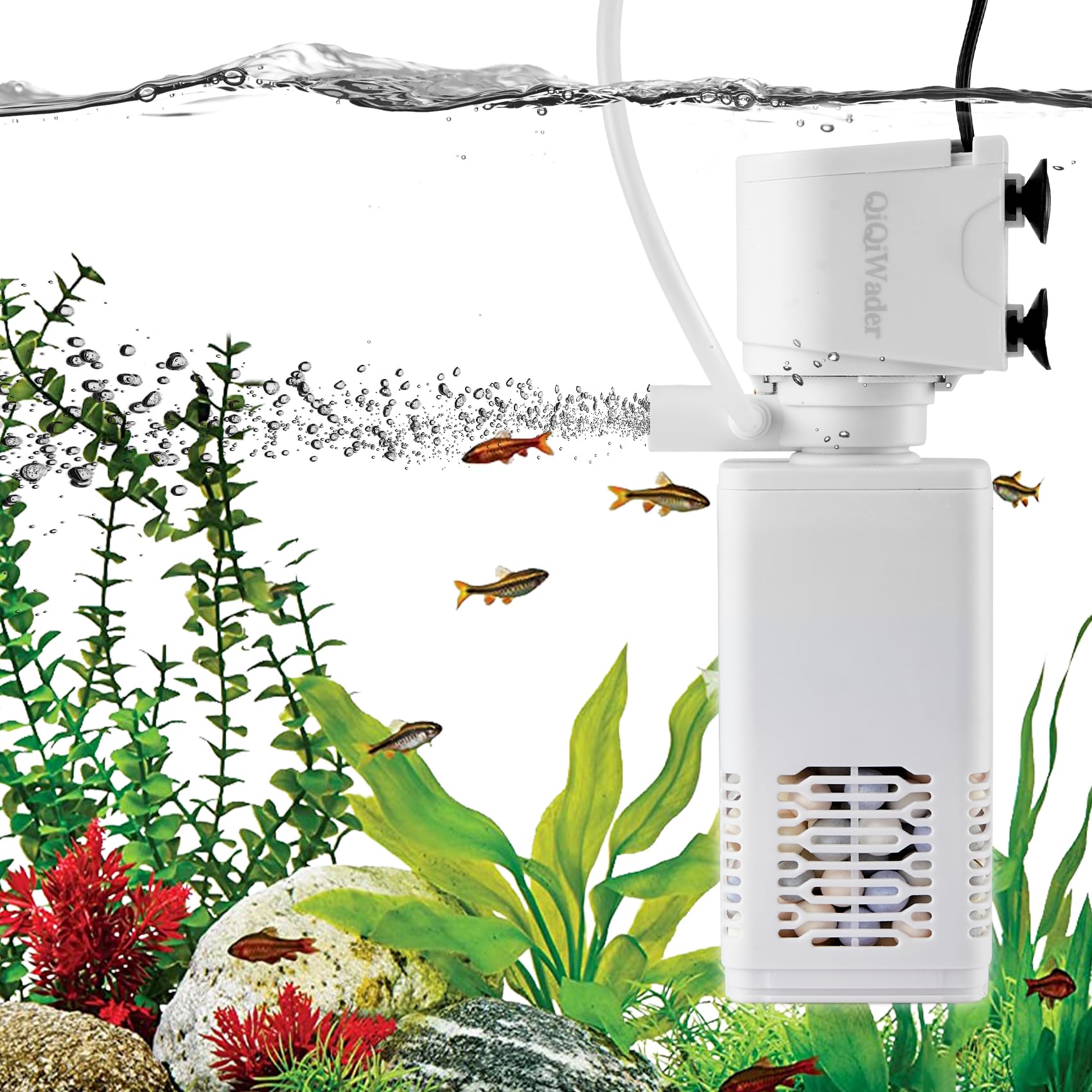 QiQiWader fish tank filter front view highlighting compact filtration for 10-40 gallon tanks.