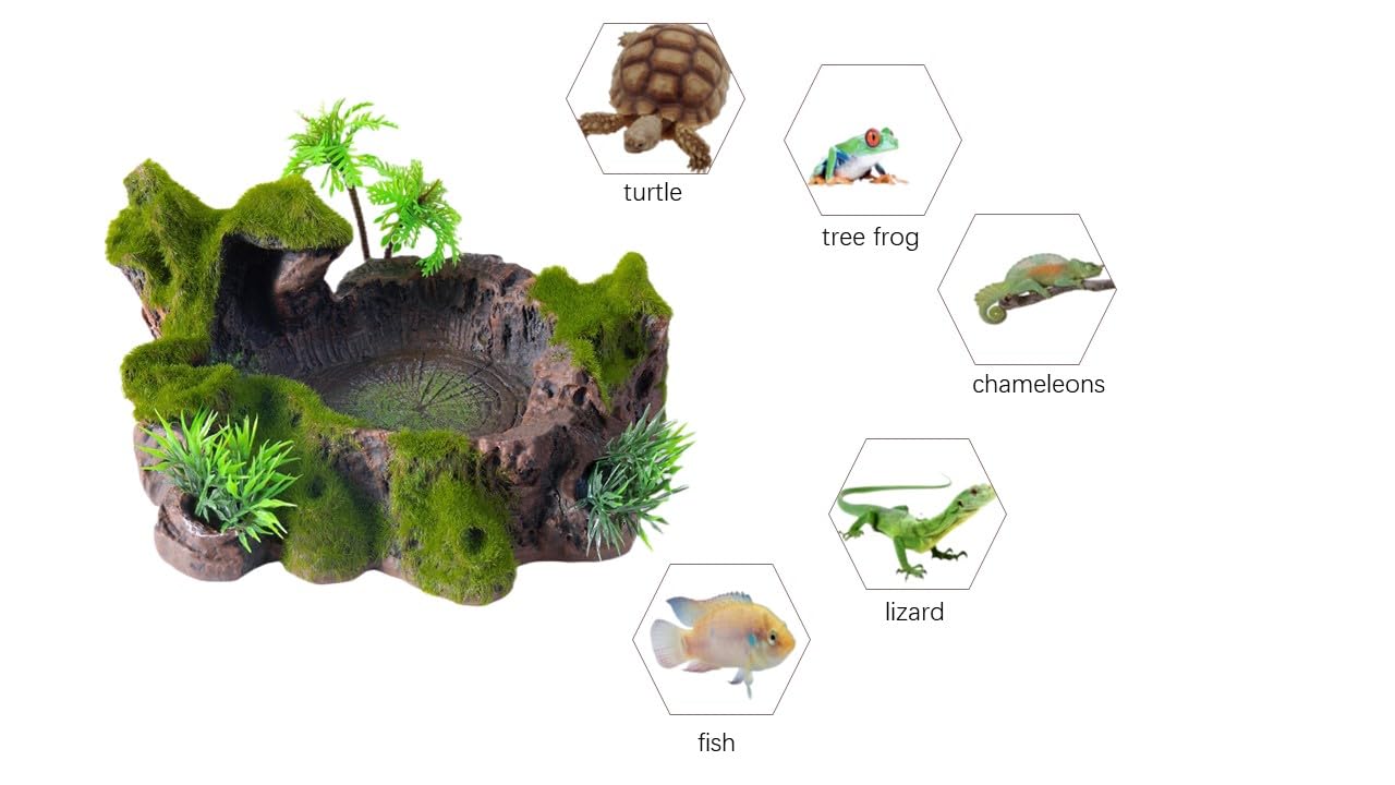 QIRMIZI reptile platform hiding spot provides secure retreat within the enclosure.