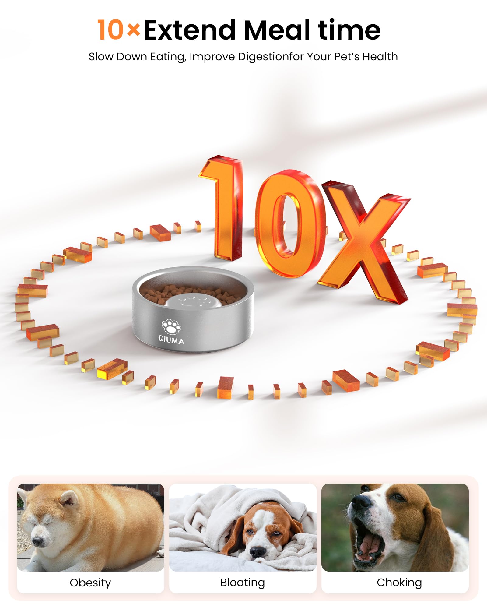 Qiuma 2-cup capacity bowl suited for small to medium dogs during meals.