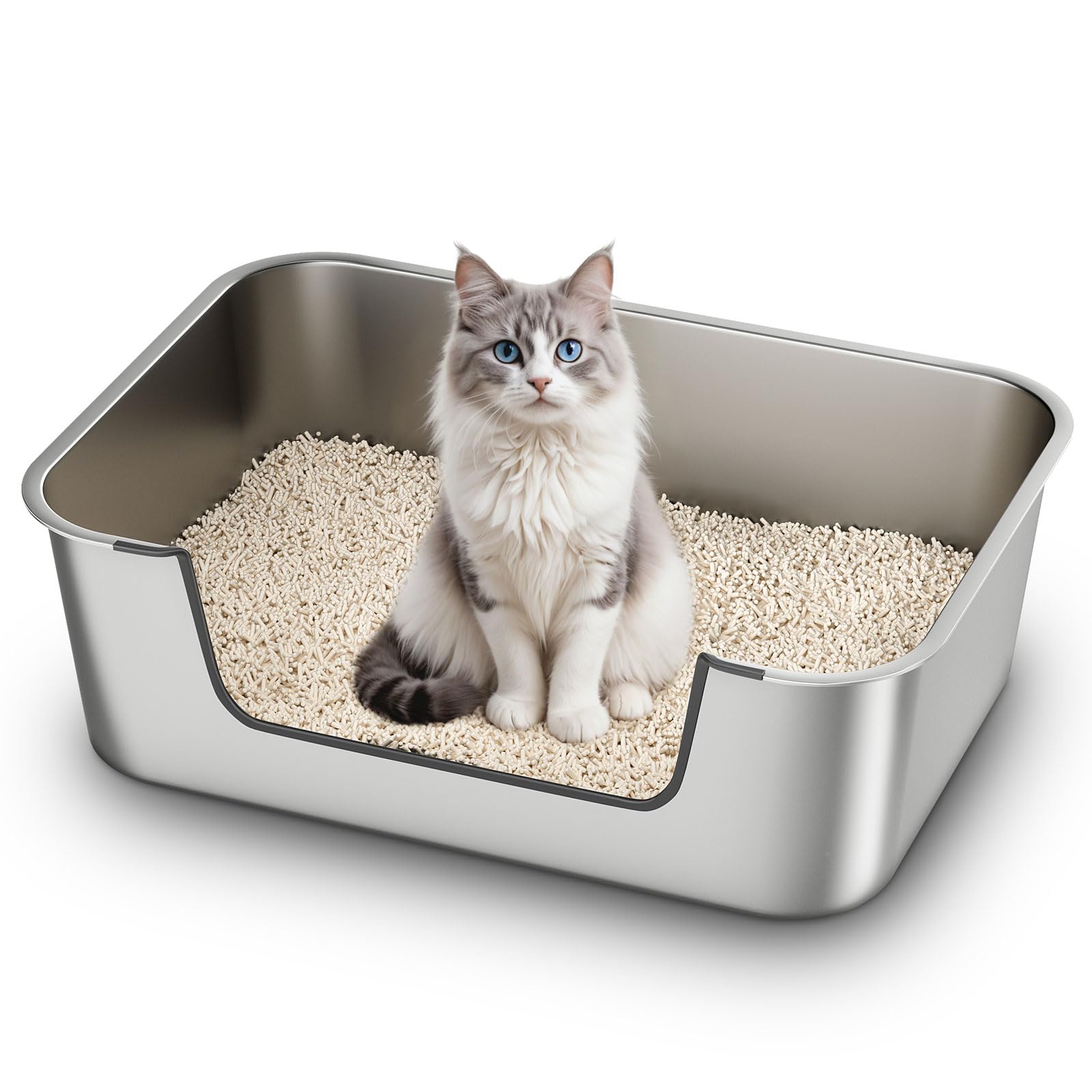Qiuma stainless steel cat litter box with low-entry front view for easy access