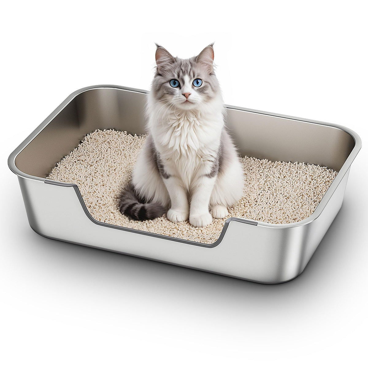Qiuma stainless steel cat litter box with low entry for easy access
