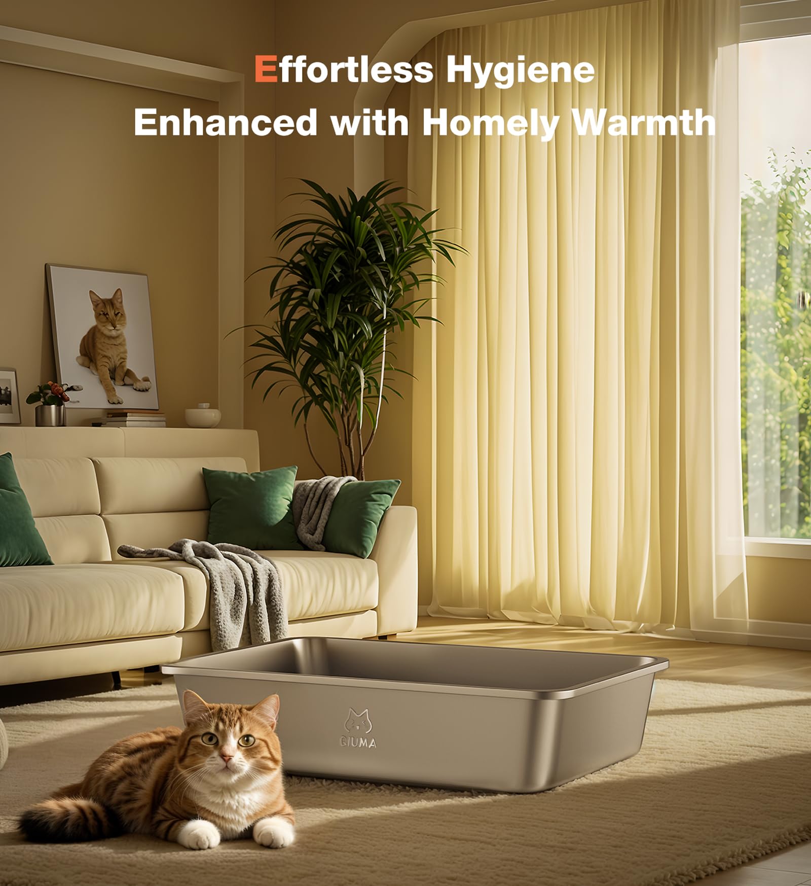 Qiuma low-entry litter box design provides easy access for kittens and seniors