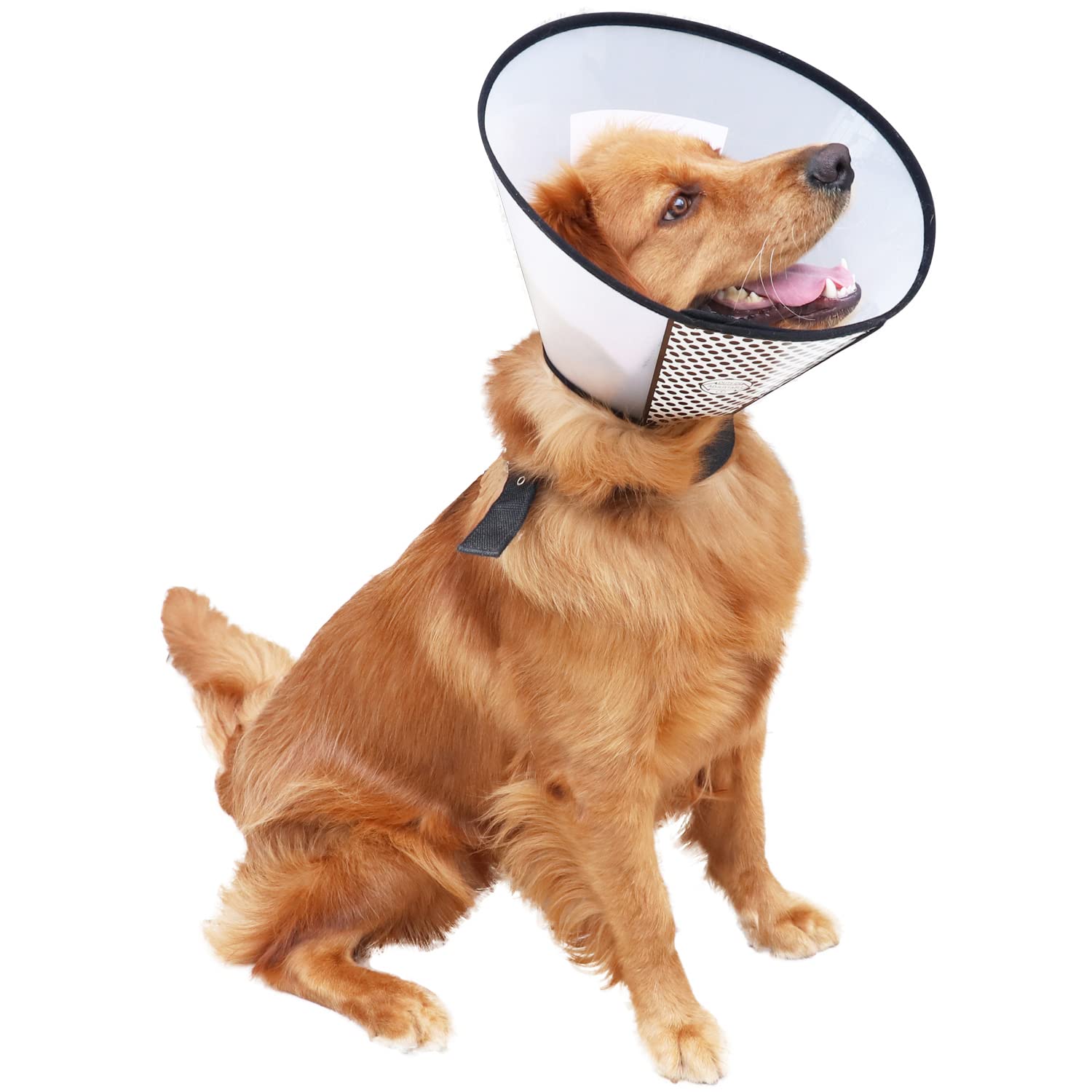 QIYADIN lightweight cone lets pets move naturally while protected.