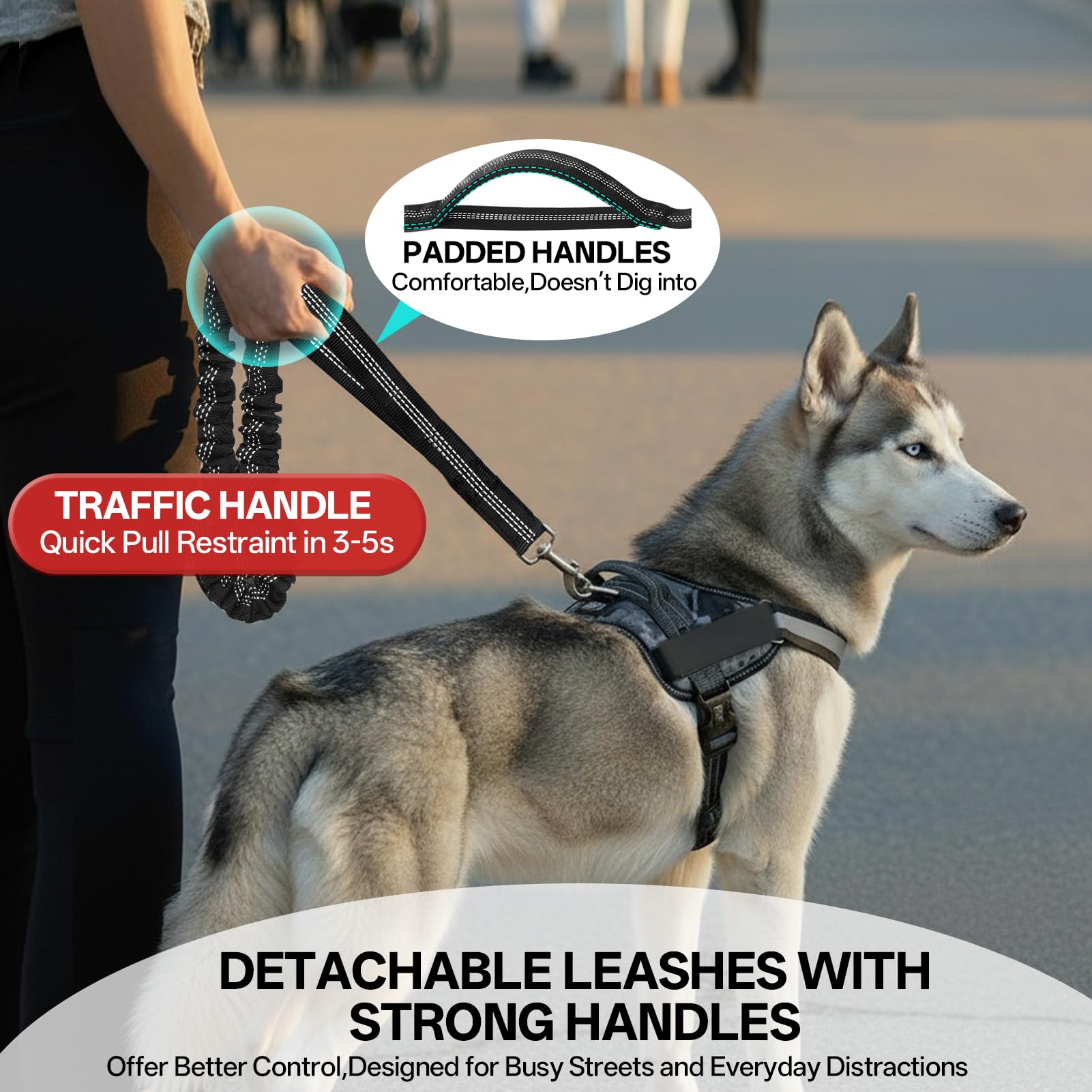 Qltytoy suitable for medium-large breeds like husky and retriever