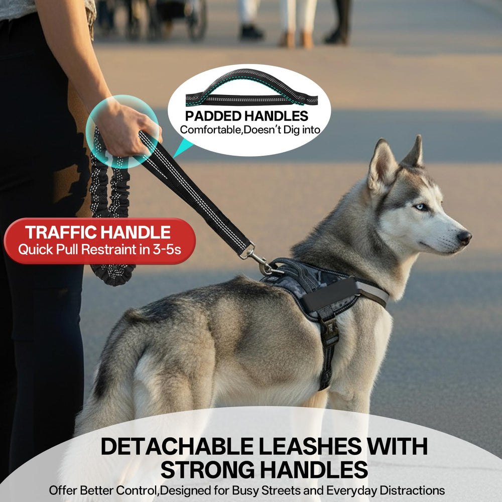 Qltytoy suitable for medium-large breeds like husky and retriever