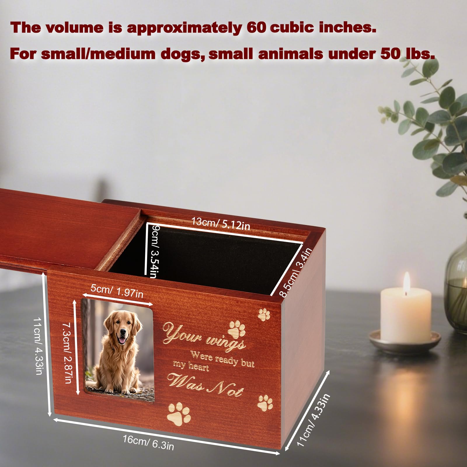 QMoveltyF photo frame compartment displays a beloved pet photo.