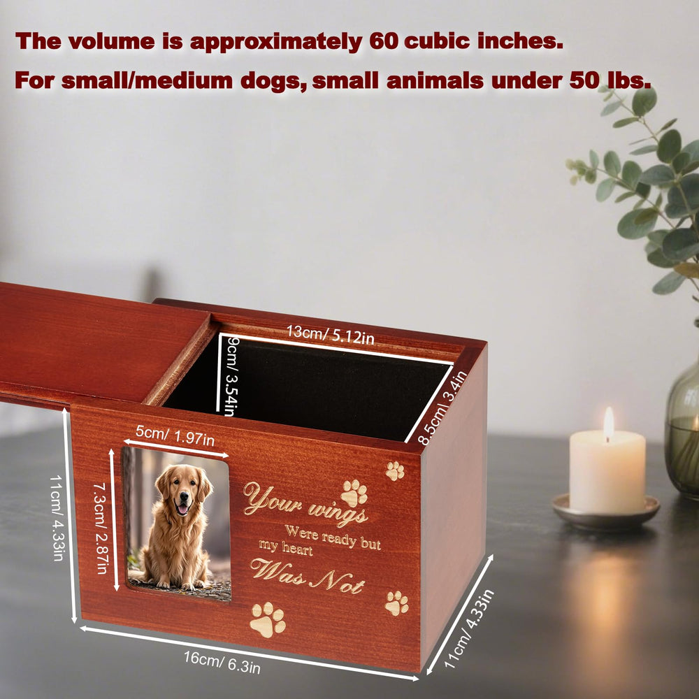 QMoveltyF photo frame compartment displays a beloved pet photo.