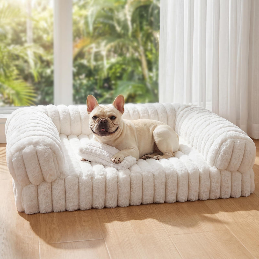 QOKO Cat Bed includes free mini toy pillow for play.
