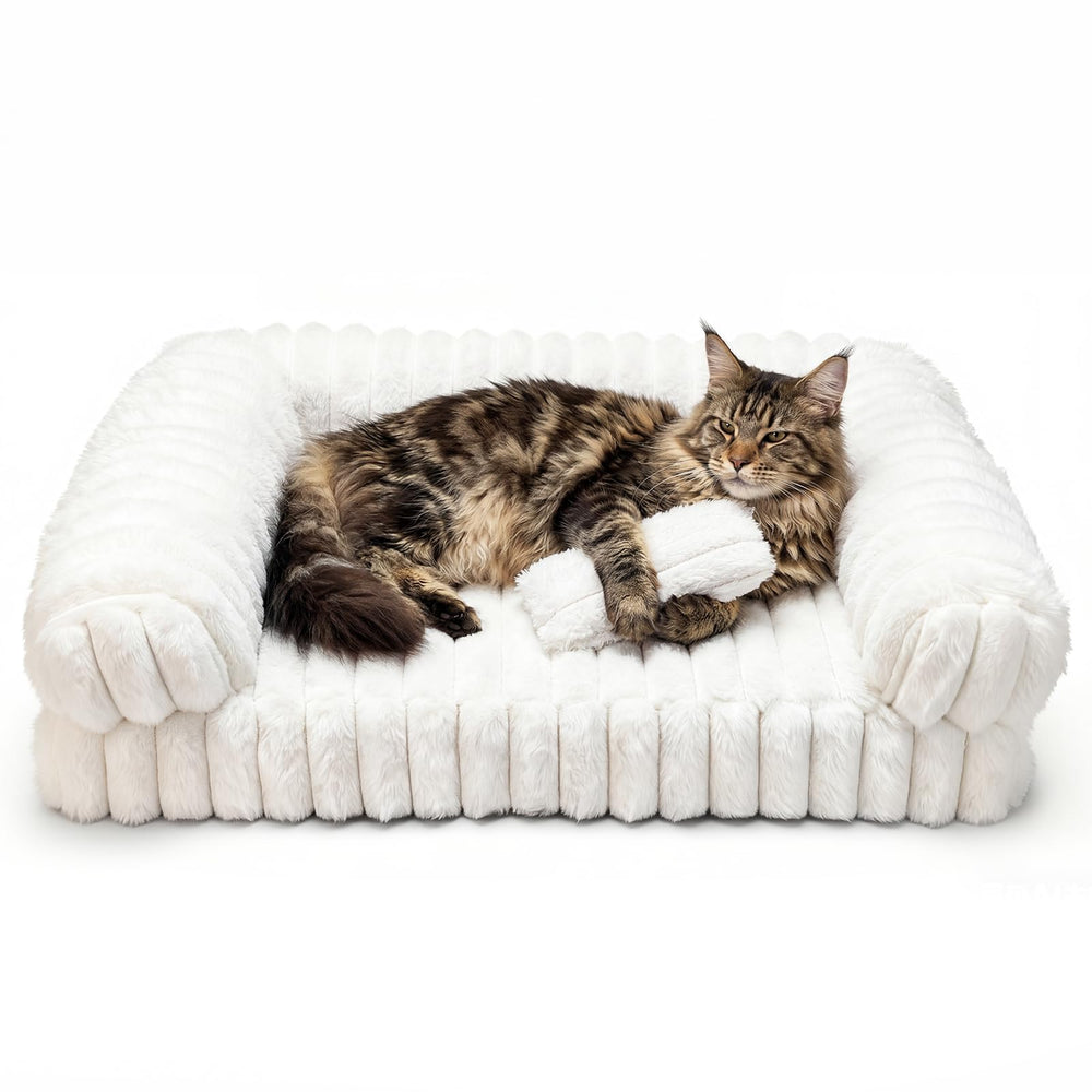 QOKO Cat Bed multi-pet use suits households with cats and dogs.