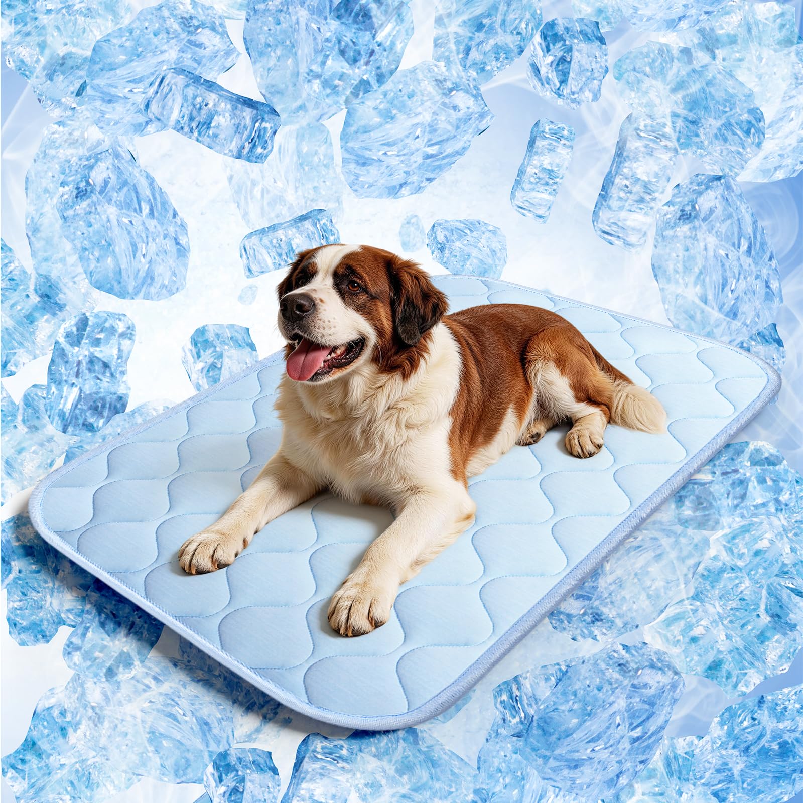 QOKO cooling mat on dog bed offers cool, comfortable rest for hot days.