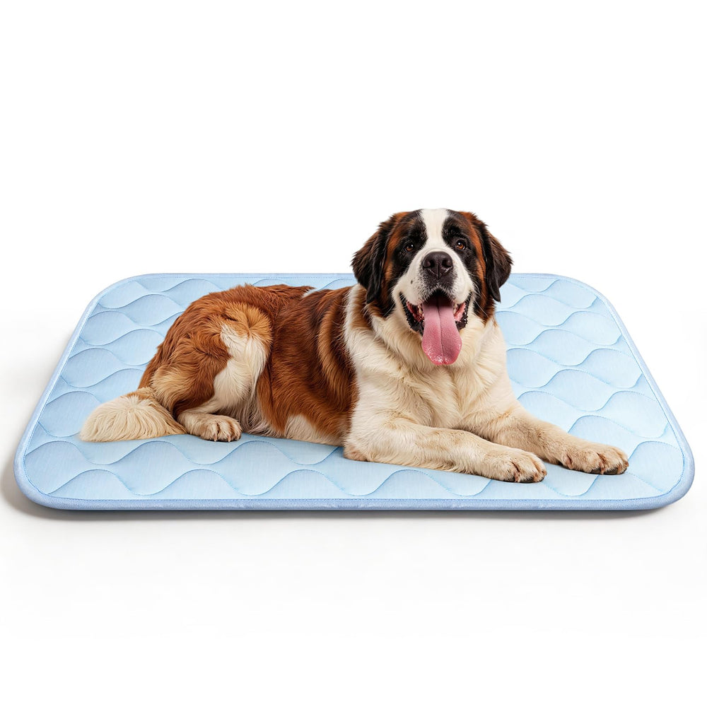 QOKO large dog enjoying the thick supportive cushion.