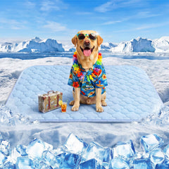 QOKO dog bed with thick padding supports joints for senior dogs.