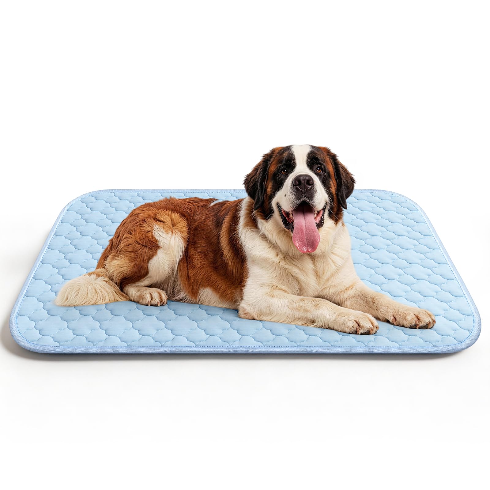 QOKO durable outer layer resists scratches and light chewing