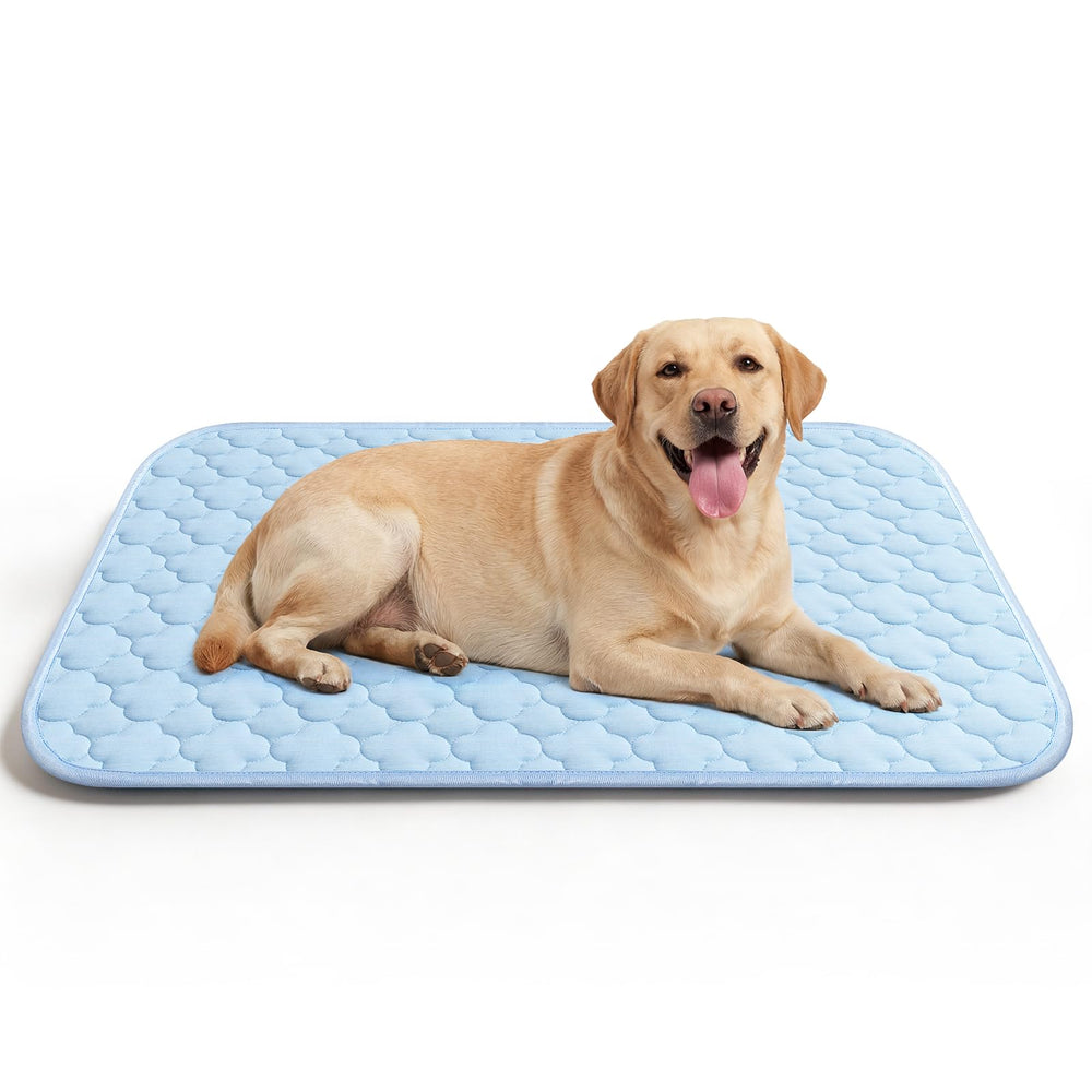 QOKO easy-clean machine washable cover for quick refresh.