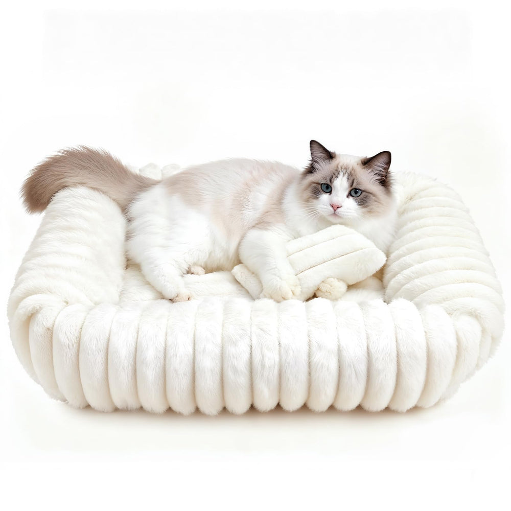 QOKO gift-ready packaging ideal for holidays or new pets