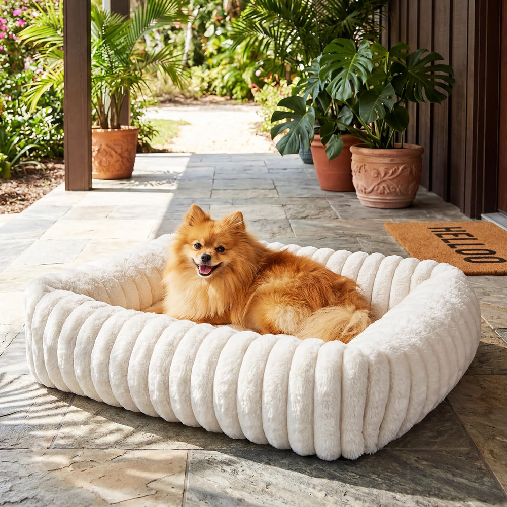 QOKO included mini toy pillow adds play and familiarity