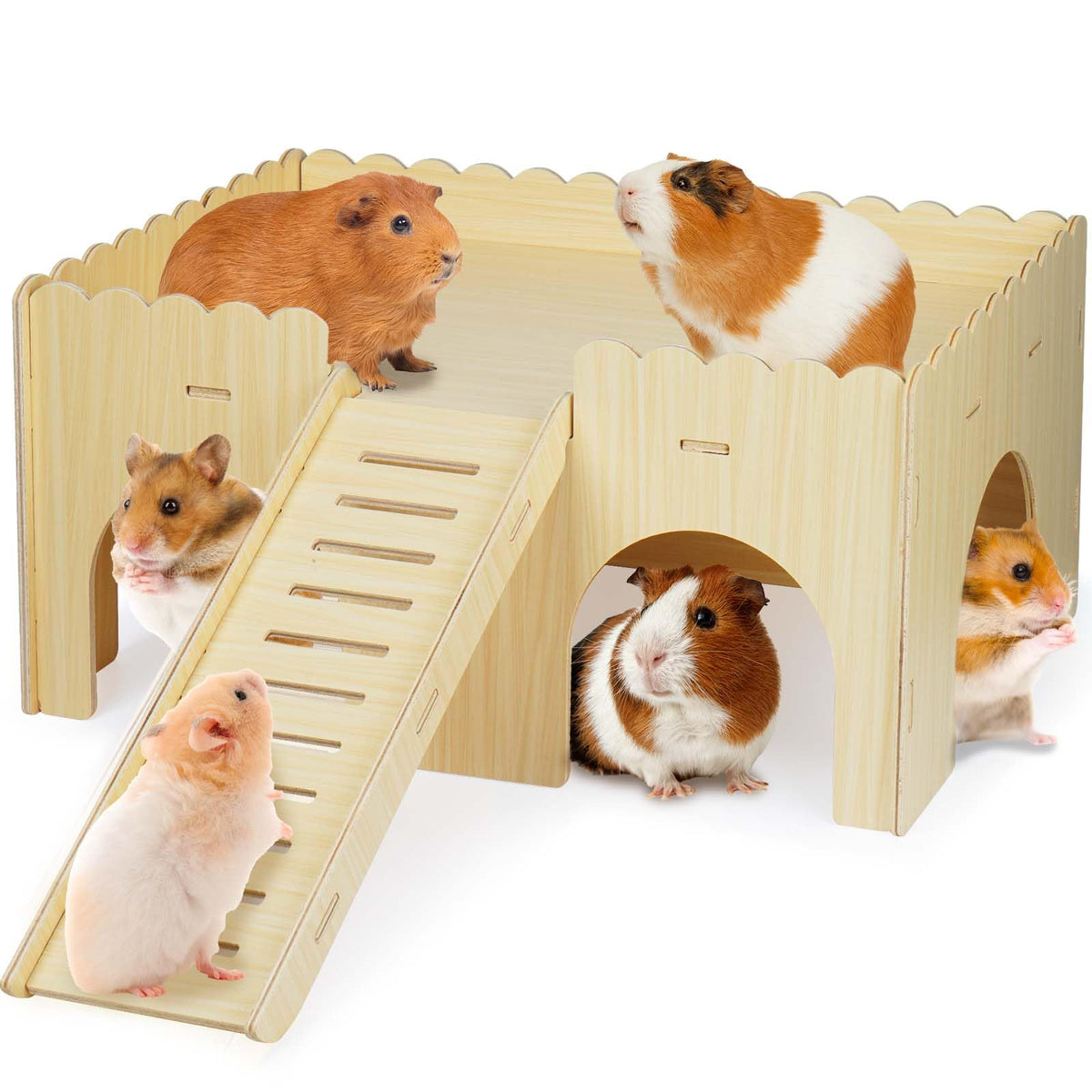Qorviana large guinea pig hideout castle showing ample space for play and rest
