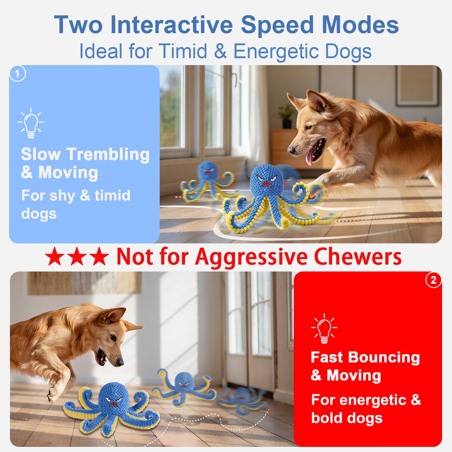 Qraxond dog ball with bouncing action for interactive sessions