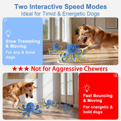 Qraxond dog ball with bouncing action for interactive sessions