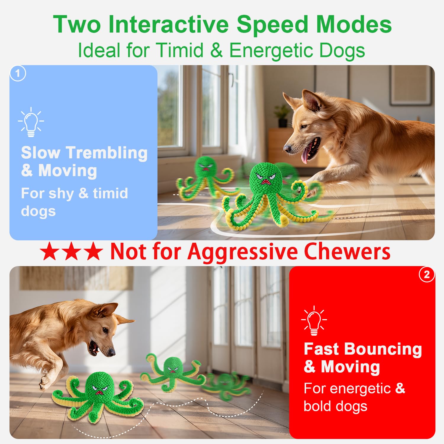 Qraxond Octopus in red mode delivers energetic bouncing for enthusiastic dogs