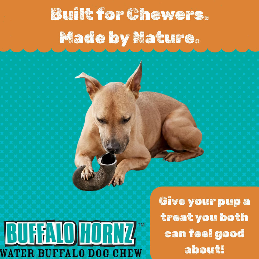Grass-fed sourcing image for QT Dog Buffalo Hornz natural chew ingredients