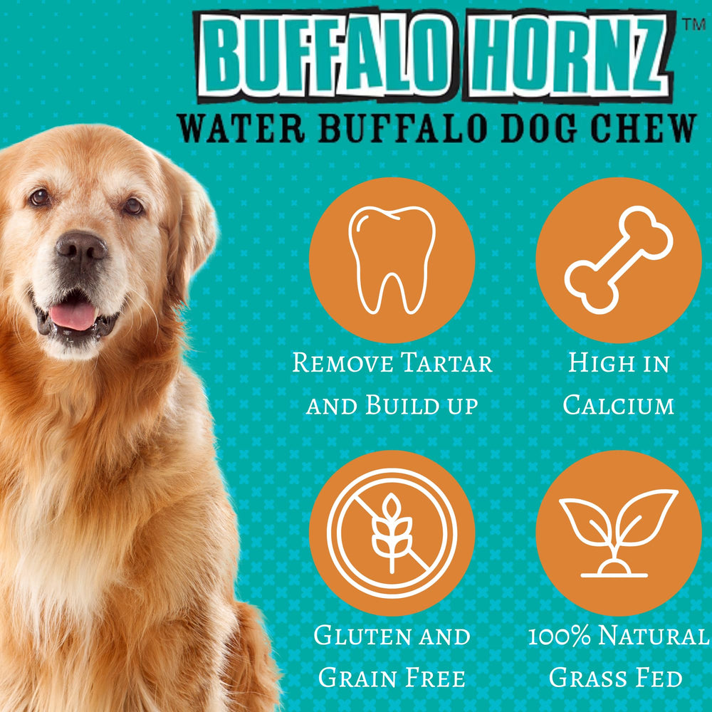 Durable buffalo horn surface for long-lasting chewing