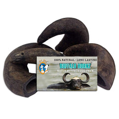 QT Dog Buffalo Hornz front view: durable, single-ingredient chews for small breeds.