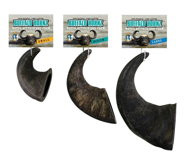 Close-up of QT Dog Buffalo Hornz twin chews highlighting texture and density for strong chewers