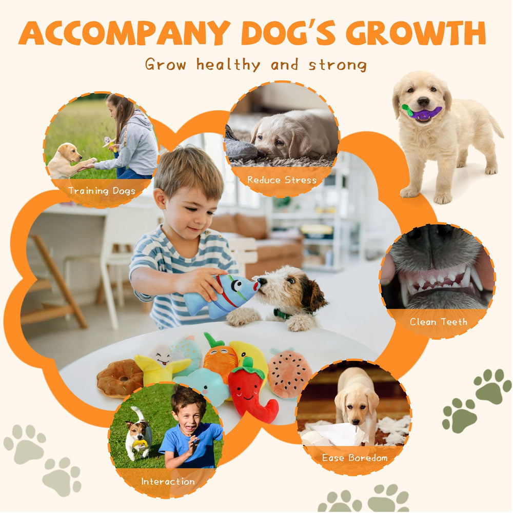 Colorful QTwoof toys brighten daily play and engagement for small dogs.