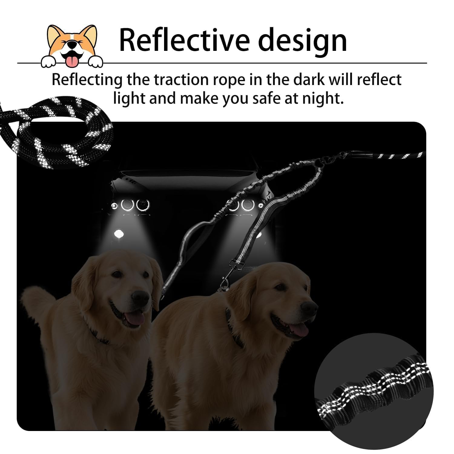 Quan Duo Duo bungee extensions absorb pulls for smoother two-dog walks
