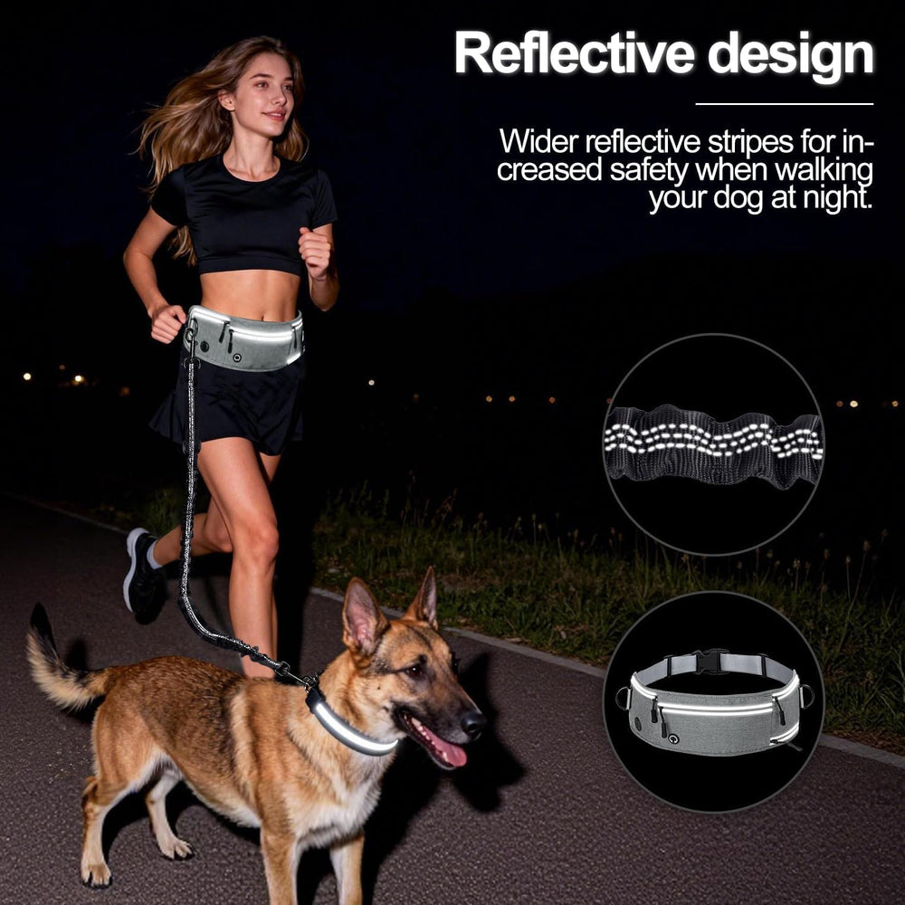 QUAN DUO DUO shock-absorbing bungee cushions sudden pulls for smoother runs.