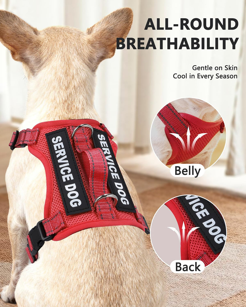 QUDLIMO escape-proof small dog harness ensuring secure, comfortable wear