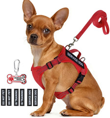 QUDLIMO service dog vest on a small breed with patches for clear status and guidance