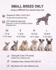 QUDLIMO puppy harness and leash set shown for small dogs.