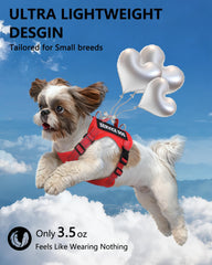 QUDLIMO reflective strips on vest increase visibility during walks.