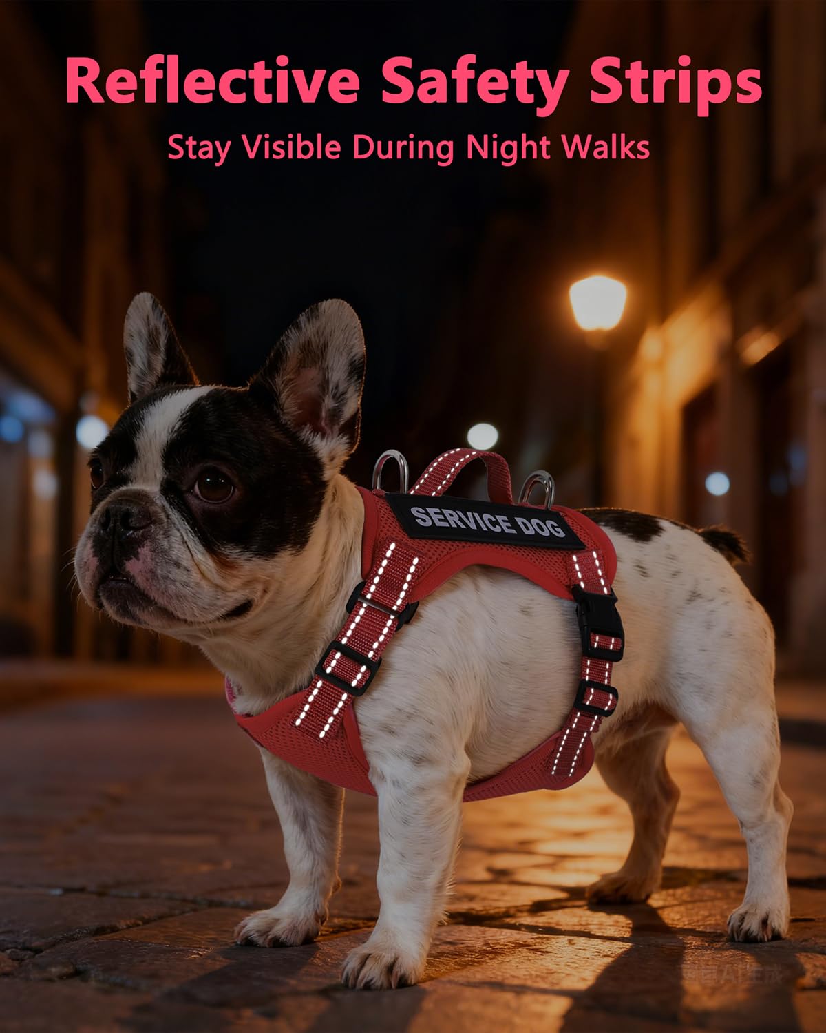 QUDLIMO small dog size range XS to L with measured fit.