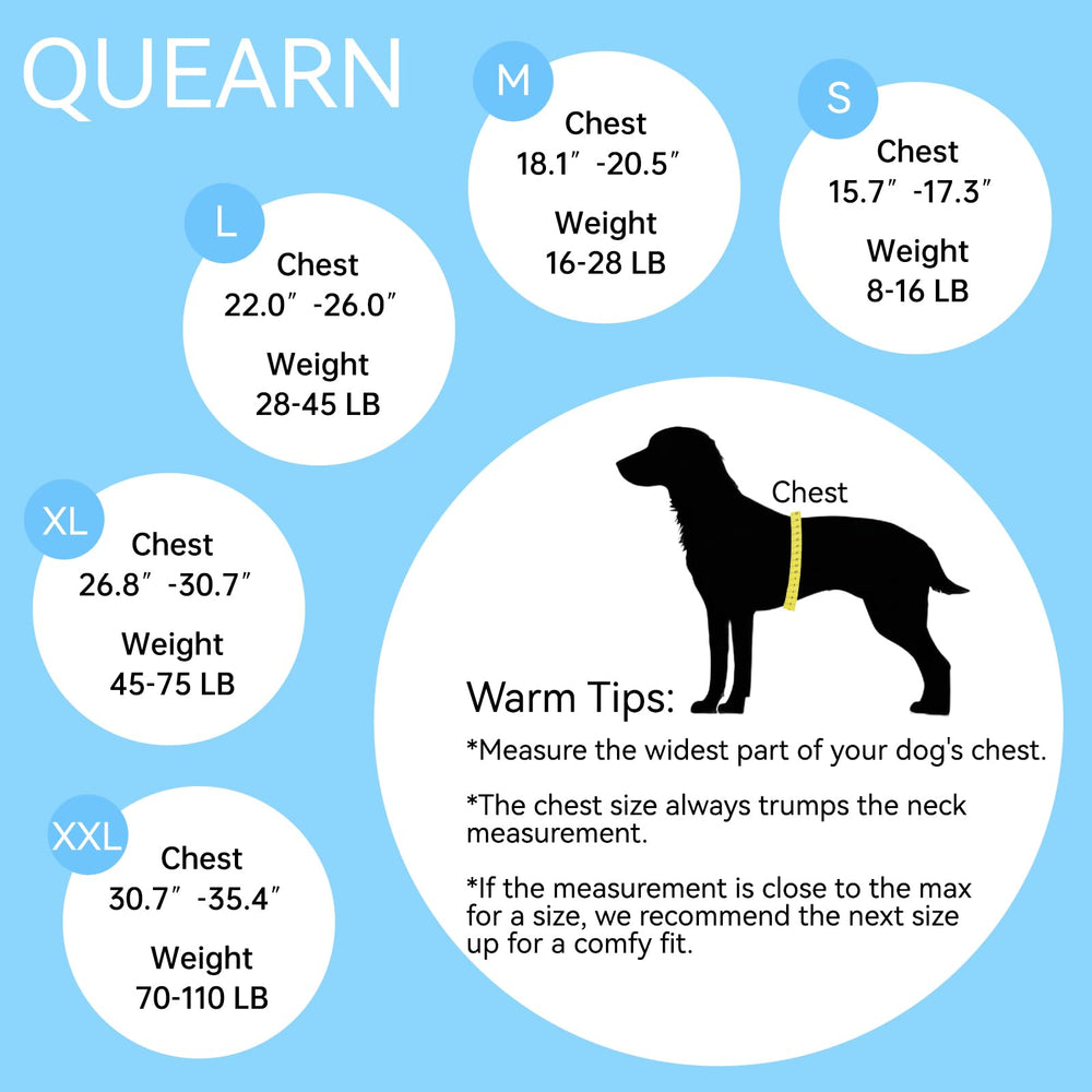 QUEARN dog moves freely in recovery suit without an e-collar.